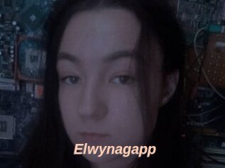 Elwynagapp