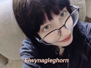 Elwynagleghorn