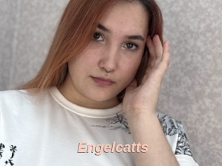 Engelcatts