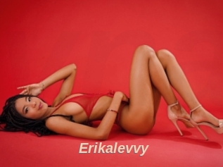 Erikalevvy