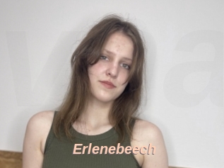 Erlenebeech