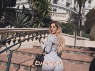 Evierosie