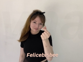 Felicebisbee