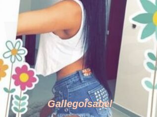 Gallegoisabel