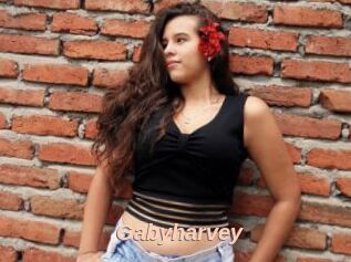 Gabyharvey