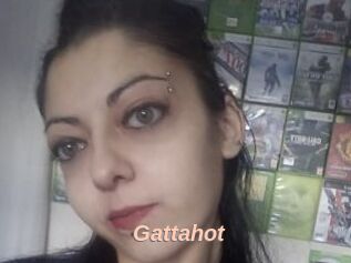 Gattahot