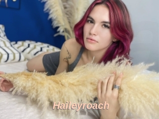 Haileyroach