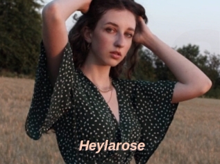 Heylarose