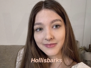 Hollisbarks