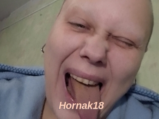 Hornak18