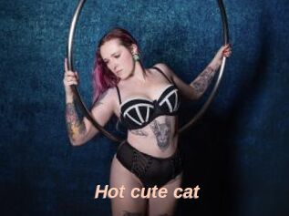 Hot_cute_cat