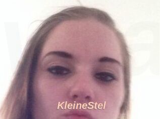 KleineStel