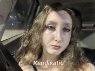 Kandikatie