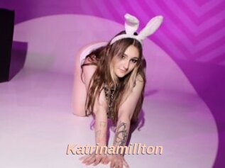 Katrinamillton