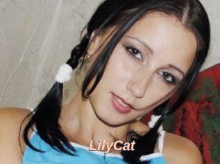 Lily_Cat_