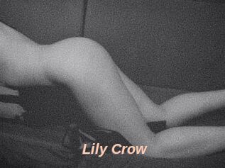 Lily_Crow