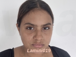 Lamini019