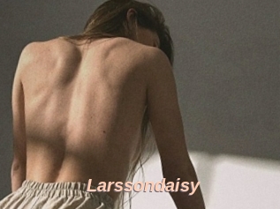 Larssondaisy