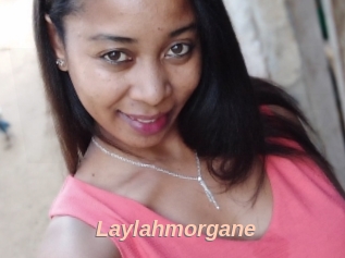 Laylahmorgane