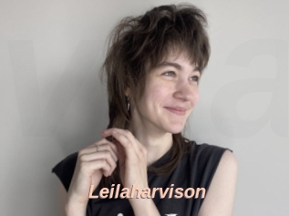 Leilaharvison