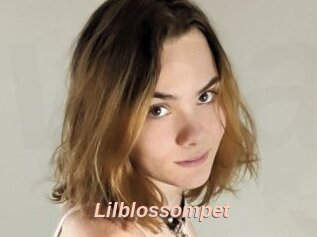 Lilblossompet