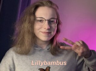 Lillybambus