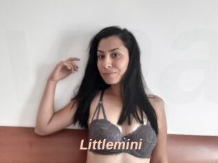 Littlemini