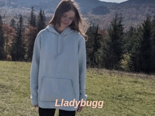 Lladybugg