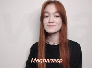 Meghanasp