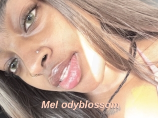 Mel_odyblossom