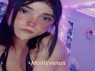 Molllyvenus