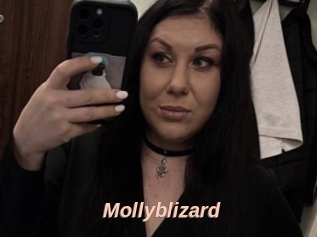 Mollyblizard