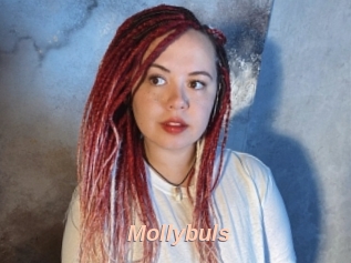 Mollybuls