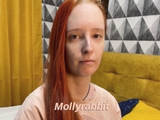 Mollyrabbit