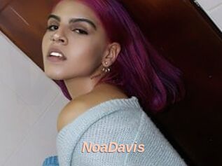 NoaDavis