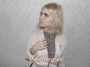 Panthergrey