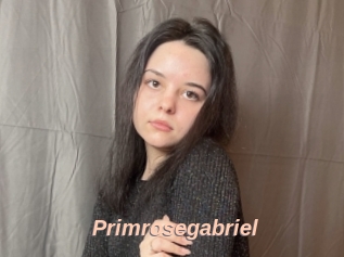 Primrosegabriel