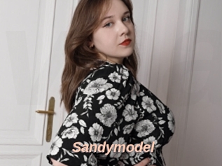 Sandymodel