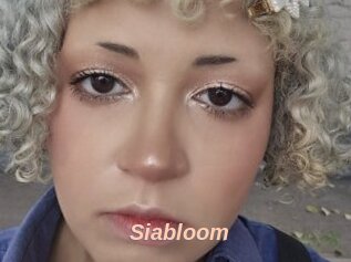 Siabloom