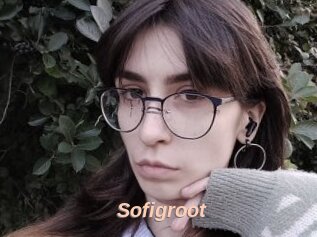 Sofigroot