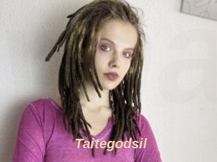 Taitegodsil