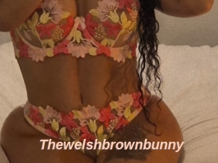 Thewelshbrownbunny