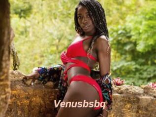 Venusbsbq